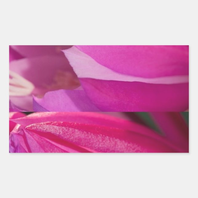 Sticker Rectangulaire Parfait Séduction Rose : Coeurs Fleurs Romantiques (Devant)
