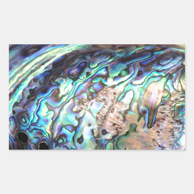 Sticker Rectangulaire Paua abalone détail de coquillages bleu et vert (Devant)