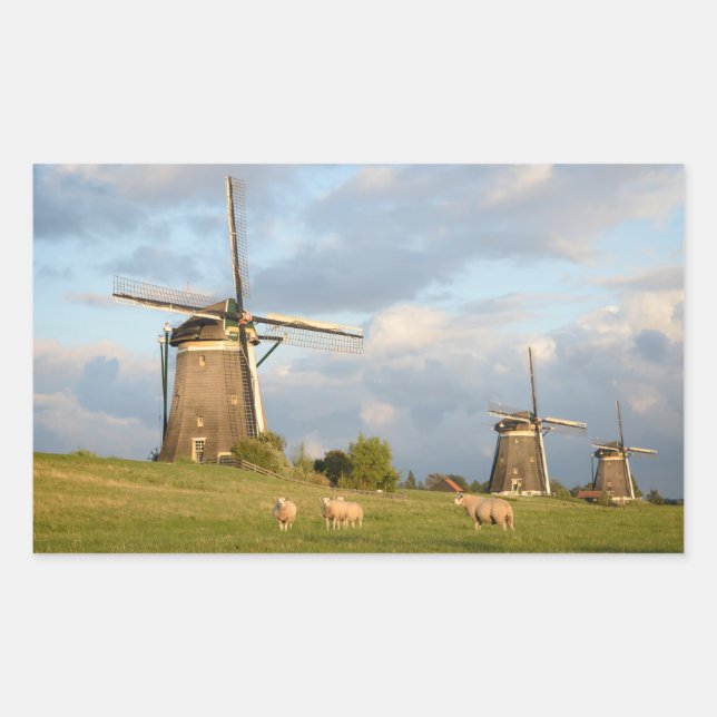 Sticker Rectangulaire Paysage avec moulins à vent et moutons (Devant)