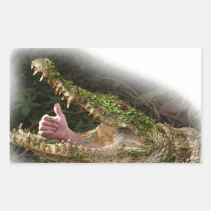 Sticker Rectangulaire peau du monde et champion de recherche