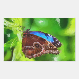 Sticker Rectangulaire Peinture à papillon
