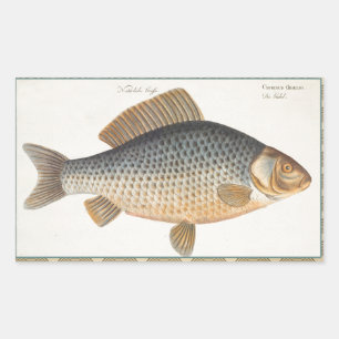 Sticker Rectangulaire peinture de pêche de carpe dessin d'eau douce