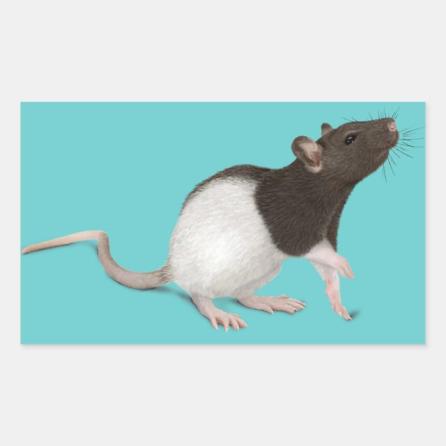 Sticker Rectangulaire Peinture de rat pour animaux (Devant)