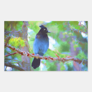 Sticker Rectangulaire Peinture du Geai de Steller - Oeuvre d'art origina