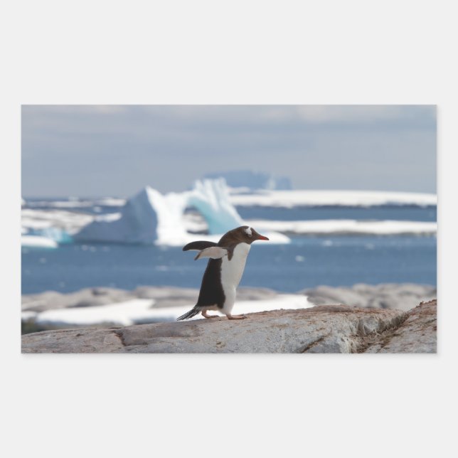 Sticker Rectangulaire Penguin in front of an ice arch (Devant)