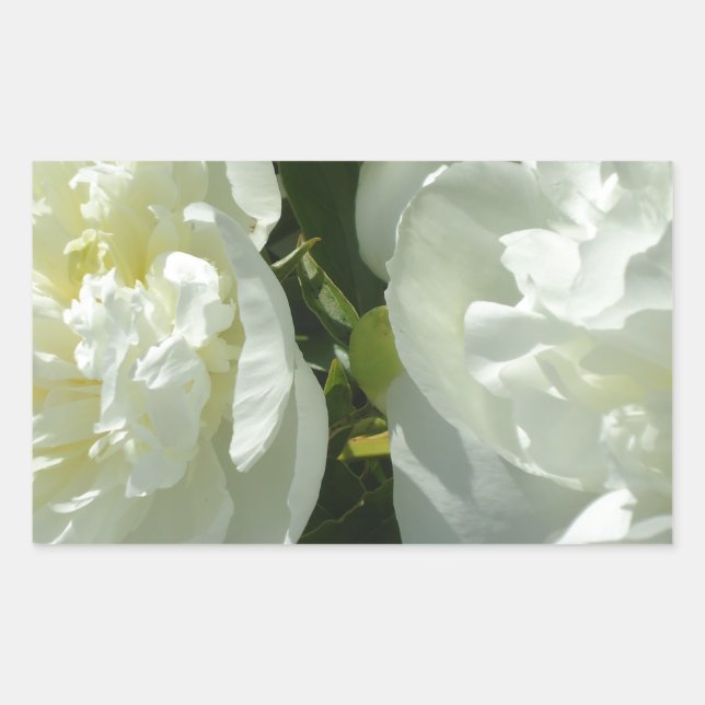Sticker Rectangulaire Peonies blanches (Devant)