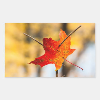 Sticker Rectangulaire percé en automne