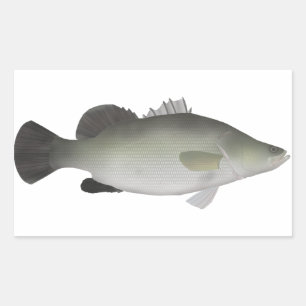 Sticker Rectangulaire Perche du Nil