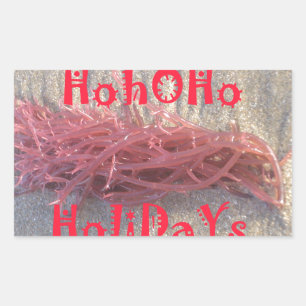 Sticker Rectangulaire Père Noël HoHoHo Joyeux Noël des couleurs de la pl