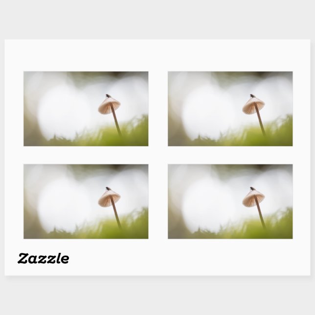 Sticker Rectangulaire Petite photo de la nature des champignons (Feuille)