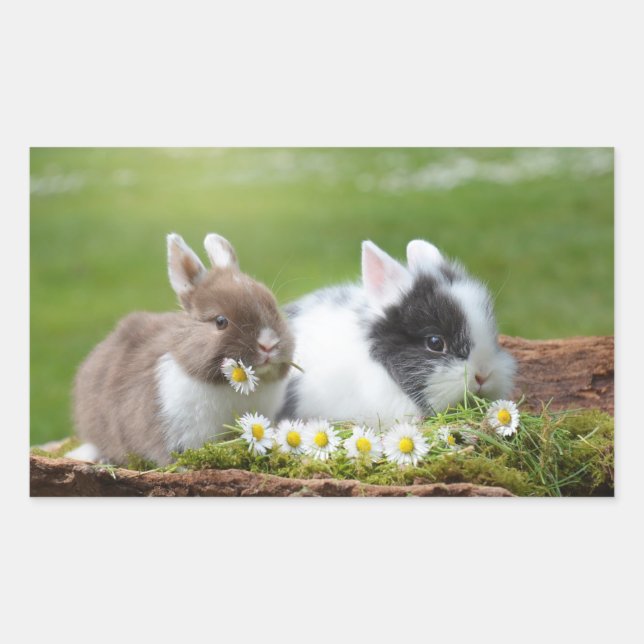 Sticker Rectangulaire Petits Bunnies Avec Marguerites (Devant)