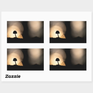 Sticker Rectangulaire Photo de champignon minuscule dans la nature