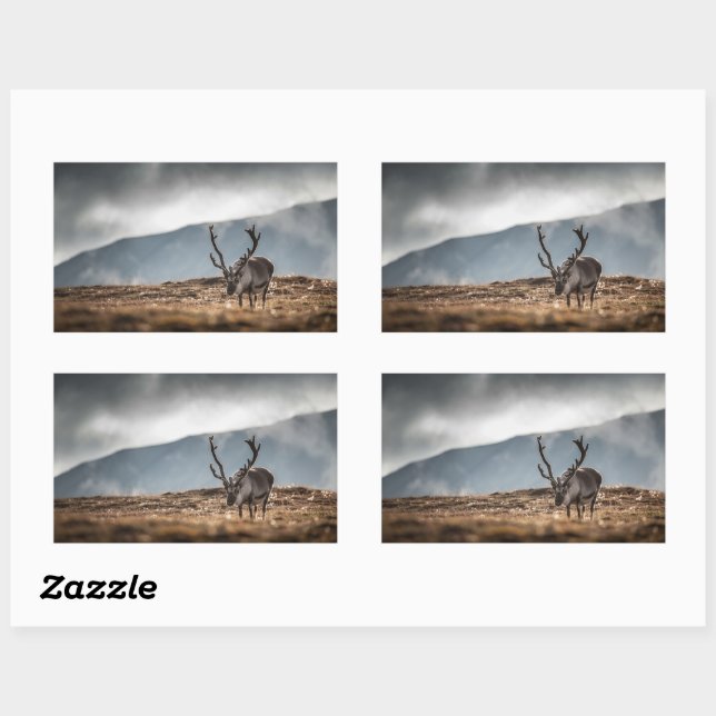 Sticker Rectangulaire Photo de la nature des rennes (Feuille)