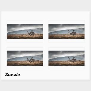 Sticker Rectangulaire Photo de la nature des rennes