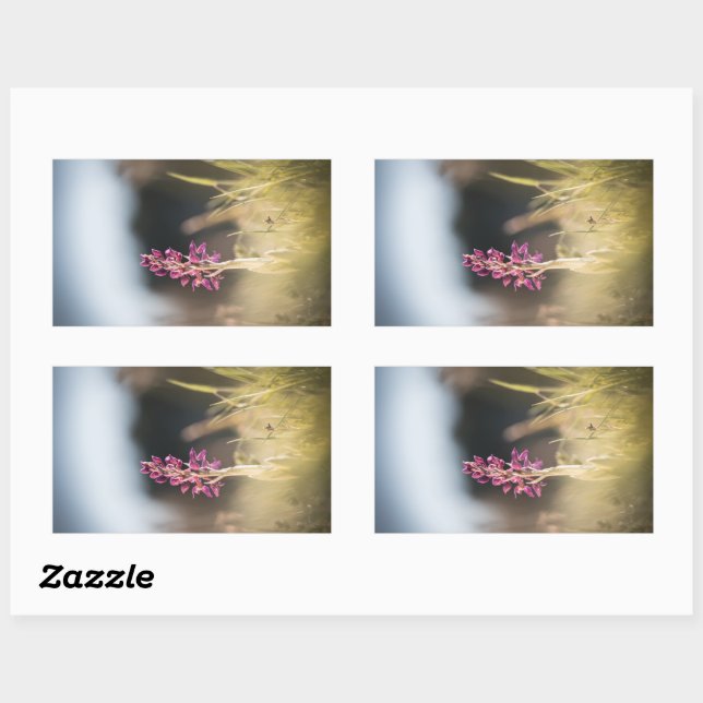 Sticker Rectangulaire Photo de la nature sauvage de l'orchidée (Feuille)
