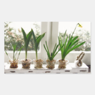 Sticker Rectangulaire Photo du jardin