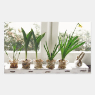 Sticker Rectangulaire Photo du jardin