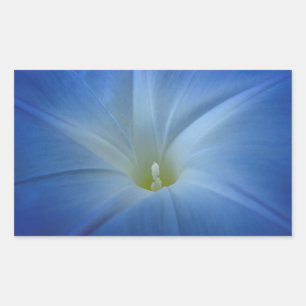 Sticker Rectangulaire Photo Gros plan du matin bleu paradisiaque