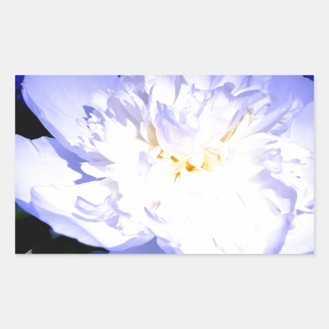 Sticker Rectangulaire Photo Peony blanc et violet (Devant)