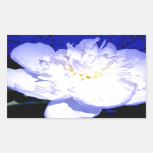 Sticker Rectangulaire Photo Peony blanc et violet