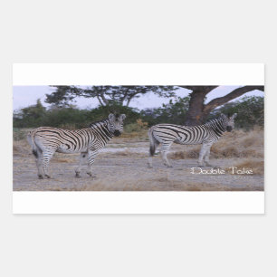 Sticker Rectangulaire Photo Zebra Double Take