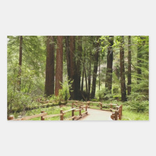 Sticker Rectangulaire Photographie de nature sur le sentier I de Muir Wo