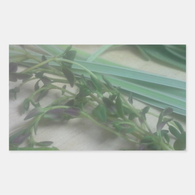 Sticker Rectangulaire Photographie des Herbes antiques (Devant)