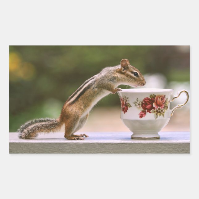 Sticker Rectangulaire Picture of Chipmunk avec China Teacup (Devant)