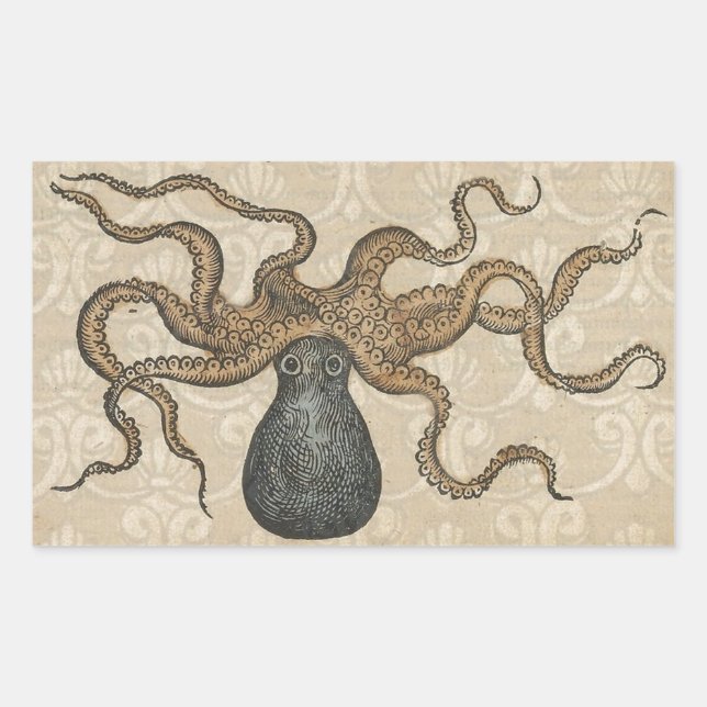 Sticker Rectangulaire Pieuvre Kraken Antique Faune Marine Côtière (Devant)
