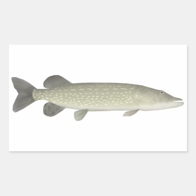 Sticker Rectangulaire Pike du Nord (Devant)