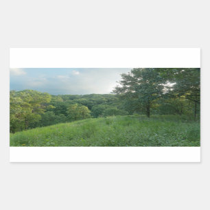 Sticker Rectangulaire Pine Bend Bluff Surplombant Vallée Bois