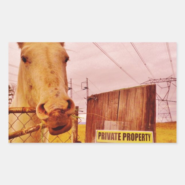 Sticker Rectangulaire Pink Private Property Horse (Devant)