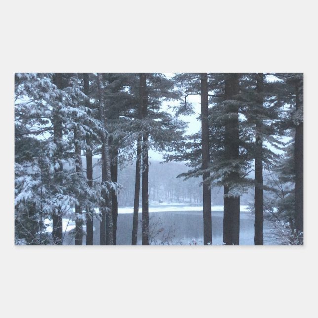 Sticker Rectangulaire Pins blancs en lumière bleue — (Devant)