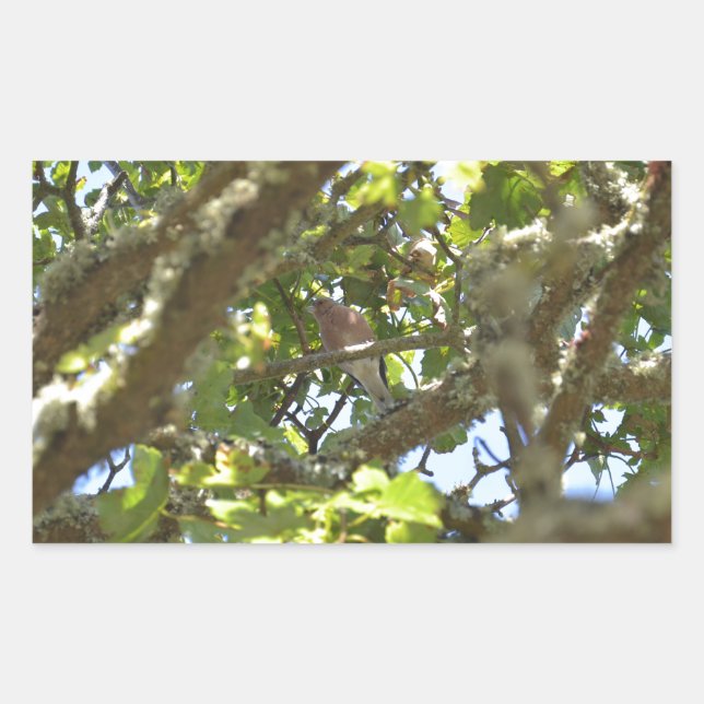 Sticker Rectangulaire Pinson des arbres (Devant)