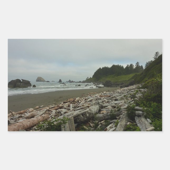 Sticker Rectangulaire Plage cachée I du parc national de Redwood (Devant)