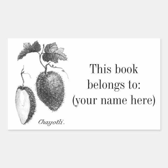 Sticker Rectangulaire Plaque vintage de gravure de chayote (Devant)