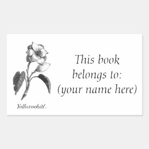 Sticker Rectangulaire Plaque vintage de gravure de fleur de magnolia