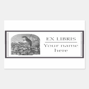 Sticker Rectangulaire Plaque vintage de gravure d'oiseau