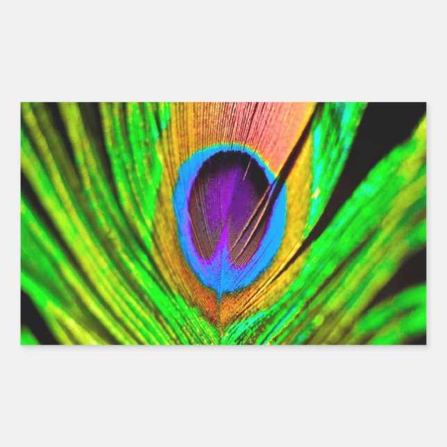 Sticker Rectangulaire Plume de paon aux couleurs néon (Devant)