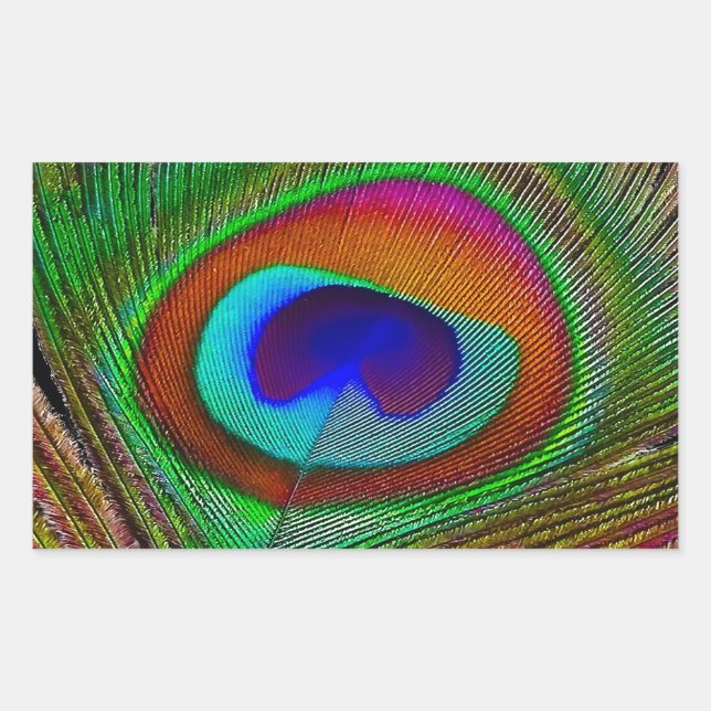 Sticker Rectangulaire Plume de paon cuivré vibrant (Devant)