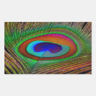 Sticker Rectangulaire Plume de paon cuivré vibrant