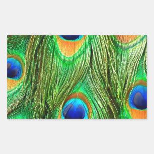 Sticker Rectangulaire Plumes de paon colorées Imprimer