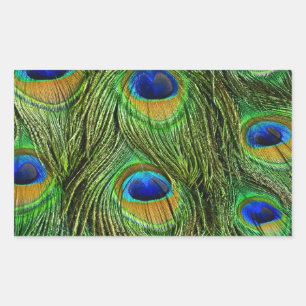 Sticker Rectangulaire Plumes de paon magnifiques
