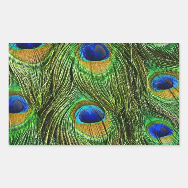 Sticker Rectangulaire Plumes de paon magnifiques (Devant)