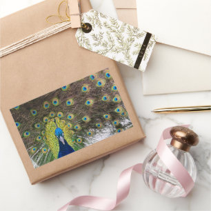 Sticker Rectangulaire Plumes de paon vibrantes