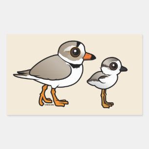 Sticker Rectangulaire Pluvier sifflant avec le poussin