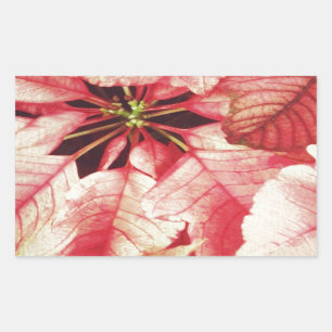 Sticker Rectangulaire Poinsettia