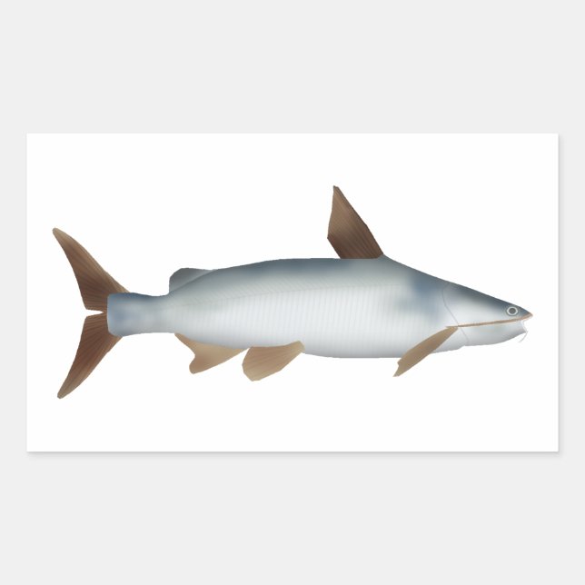 Sticker Rectangulaire Poisson-chat soldat (Devant)