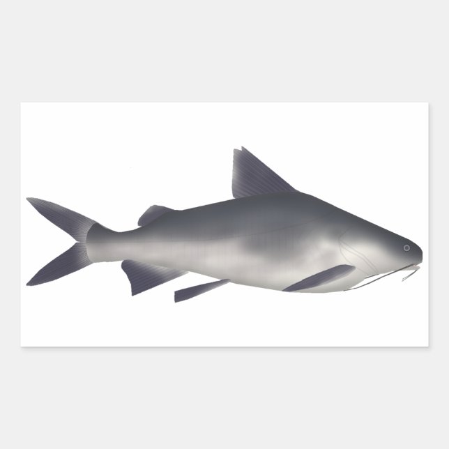 Sticker Rectangulaire Poisson de petite taille (Devant)