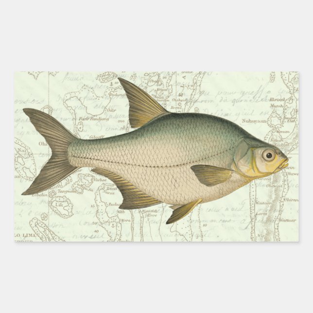 Sticker Rectangulaire Poisson d'eau douce sur la carte (Devant)